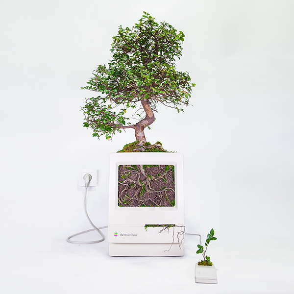 Plant Your Mac