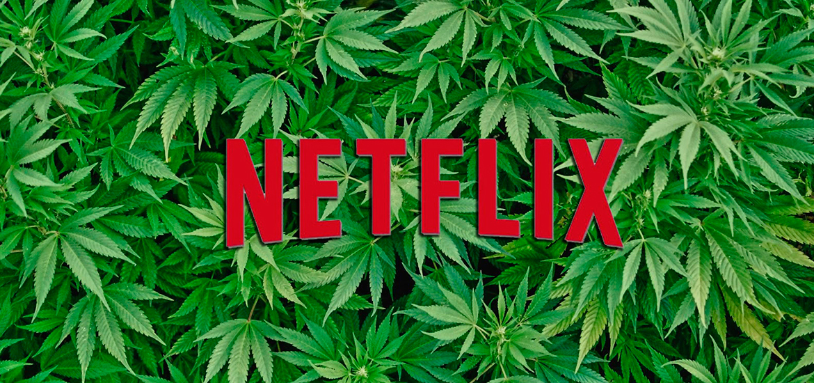 NETFLIX disjointed show