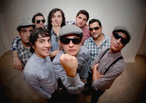The Donatelos