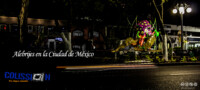 alebrijes en la ciudad de mexico home