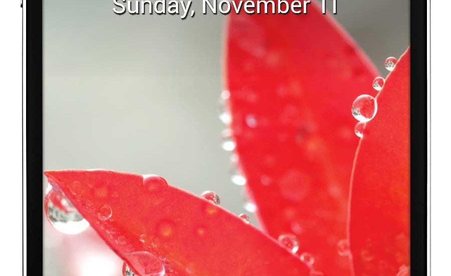 LG Optimus G Libre de carbono