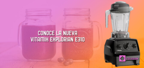Vitamix Explorian E310